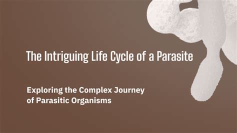  _Quantitative Parasitic Prowess: Unveiling the Intriguing Life Cycle of the Quinaria Sporozoan!